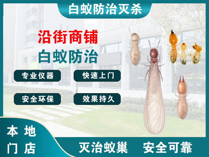 天宁沿街商铺白蚁防治