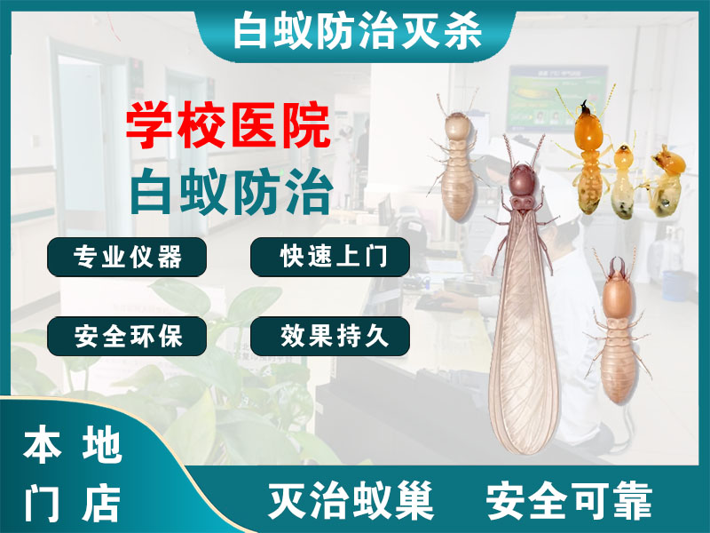 天宁学校医院白蚁防治