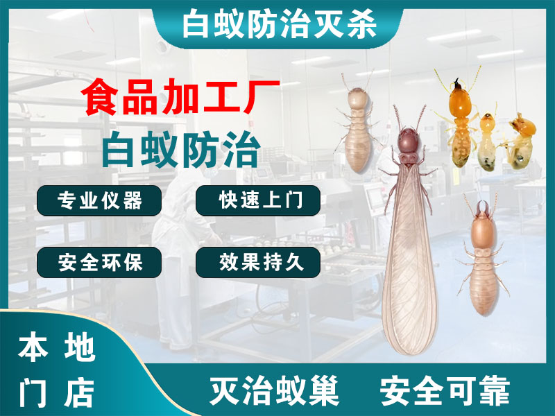 天宁食品加工厂白蚁防治