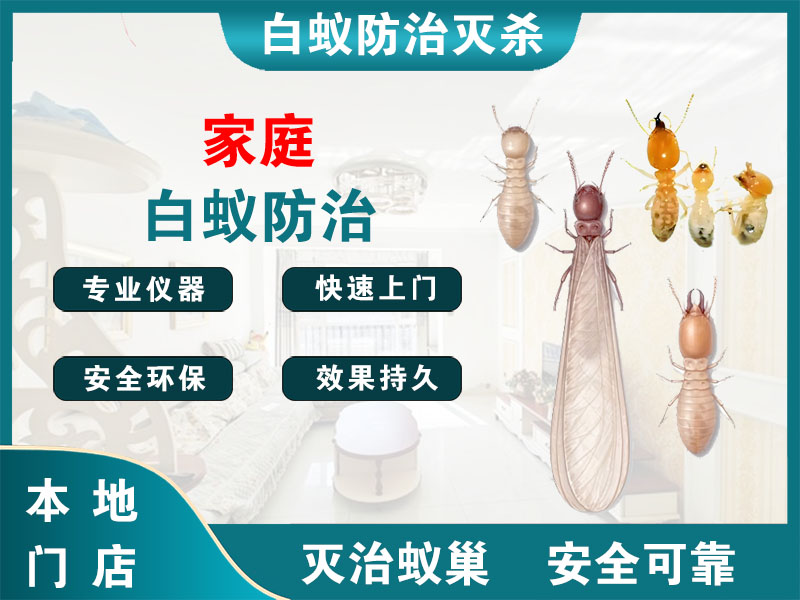 天宁家庭白蚁防治