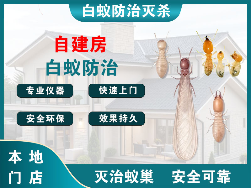 天宁自建房白蚁防治