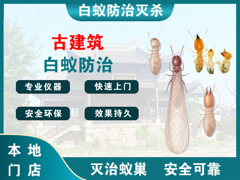 天宁古建筑白蚁防治