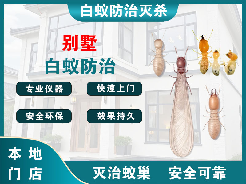 天宁别墅白蚁防治