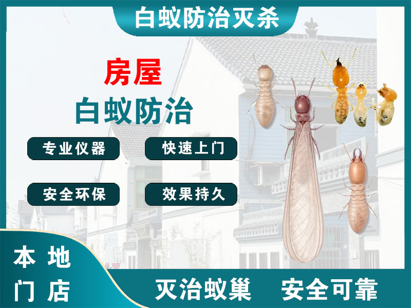 天宁房屋白蚁防治